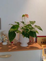 -慢脚印孕产中心(园区国金店)