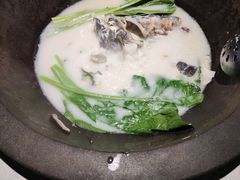 -鲜潭蒸汽石锅鱼(五道口购物中心店)