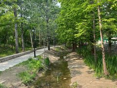 -白水寺森林公园
