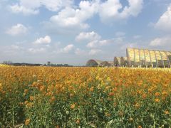 -中国天府农业博览园