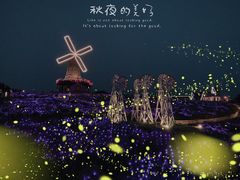 -大塘金香草谷