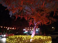 -听松楼·花园酒店·自助餐厅(红梅公园店)
