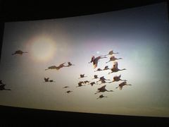 -中国科学技术馆影院