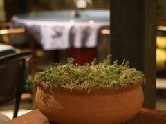 -野蔓果·山野菜(西湖景区·龙井茶田店)