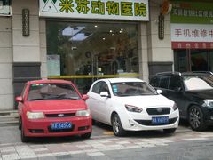 -米苏动物医院·犬猫专科·骨科外科内窥镜