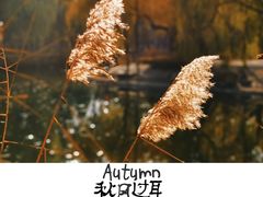 -满都海公园