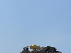 -三亚西岛海洋文化旅游区