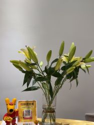 -汤尼英盖TONI&GUY-essensuals