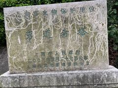 -上海佘山国家森林公园西佘山园