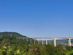 -翠云水煮鱼(双龙大道店)