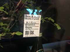 -日上三甘(三里屯店)