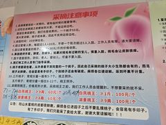 -老袁家蜜桃农场·阳山水蜜桃