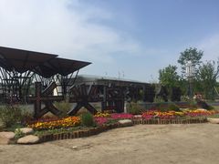 -上海长兴岛郊野公园