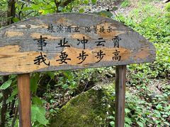 -茅兰沟国家森林公园