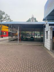 -东山游乐园