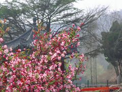 -湛山寺