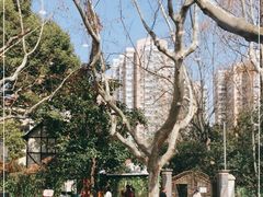 -五观堂素食(新华路店)