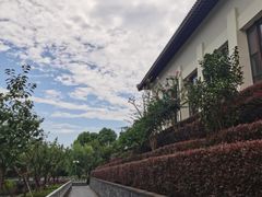 -宁波柏悦酒店·钱湖渔港