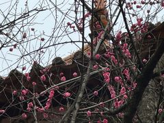 -昆明市金殿名胜区