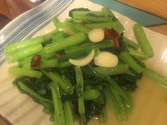 素炒苦凉菜-紫滇源云南生态菜(丹凤街店)