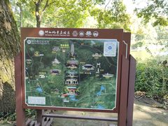 -灵谷景区