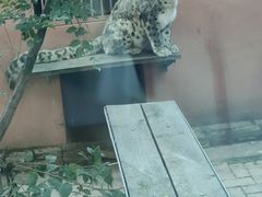 -青藏高原野生动物园