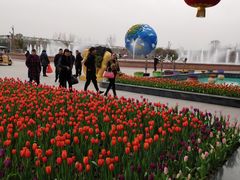 -南通洲际绿博园