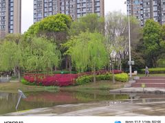 -南翔镇银翔湖公园