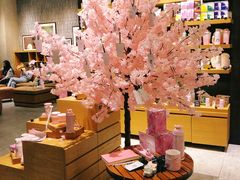 -星巴克臻选(深圳罗湖万象城店)