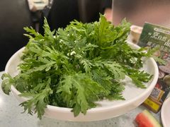 -烹然四季椰子鸡火锅(团结湖总店)
