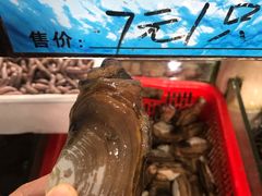 -天鹰观渔(梦园店)