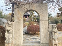 -徐州龟山景区