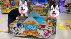 -莫莉幻想儿童乐园(北京天通苑华联店)