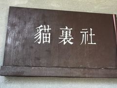 -猫里有甜
