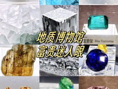 -中国地质博物馆