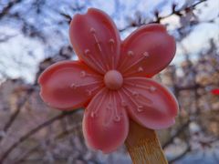 -桃花堤公园