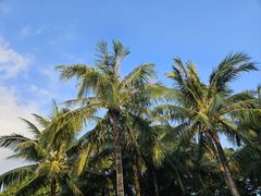 -深圳湾公园(南山区)