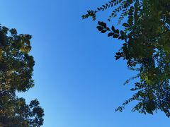 -叶掌柜桐庐土菜馆