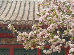 -海棠花溪(元大都城垣遗址公园)
