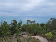 -广东惠东海龟国家级自然保护区
