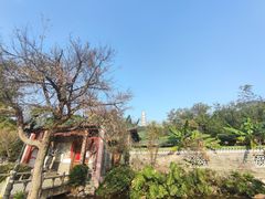 -榴花公园