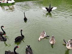 -无锡动物园·太湖欢乐园