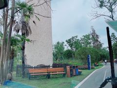 -东平国家森林公园