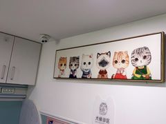 -纳吉亚猫专科动物医院·北北分院