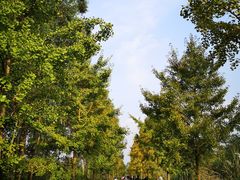 -白鹭湾湿地公园