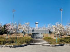 -永定河休闲森林公园