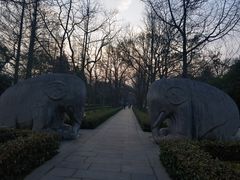 -梅花山(明孝陵内)