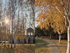 -长春公园(普阳街道)