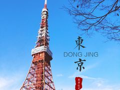 -东京塔海贼王主题公园