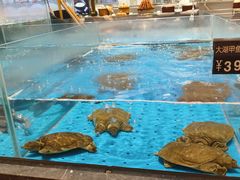 -艳阳天·非遗楚菜(武汉客厅店)